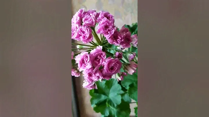 Ю Марлезон 2