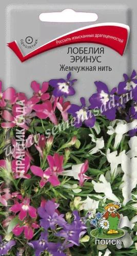 Лобелия Жемчужная нить 0,1г