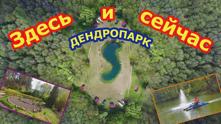 Парк "Здесь и Сейчас" - ещё одна жемчужина в "Лесном ожерелье".