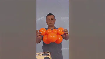 ЭТО ЛИСА ИЗ ШАРОВ #лиса #balloon #воздушныешары #шары #шарики #ballonart #аэродизайн #творчество