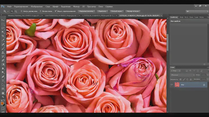 фотообои розы 244х230