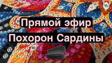 Прямой Эфир . Похорон Сардины