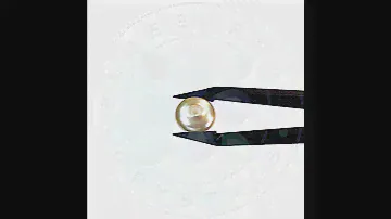 Preciosa Button Half Drill Pearl - Product Video