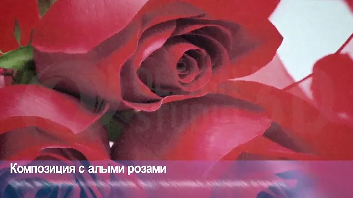 3D Фотообои "Композиция с алыми розами"