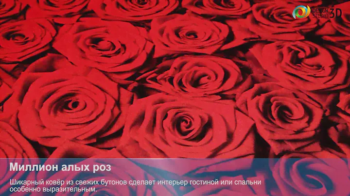 3D фотообои "Миллион алых роз"