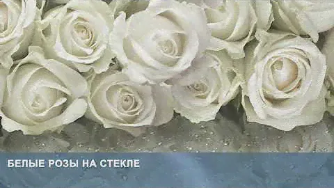 3D Фотообои «Белые розы на стекле»