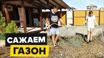 Сажаем газон из клевера