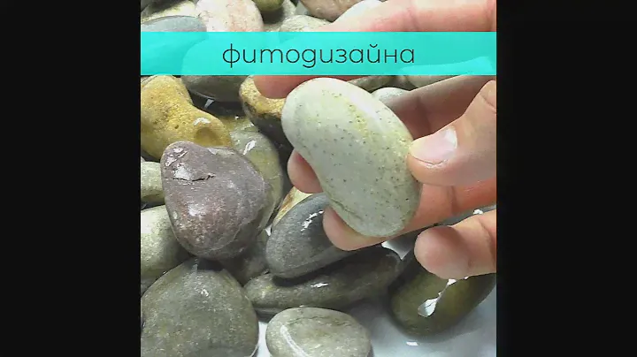 Галька морская Дикий пляж 20-40 мм  #галька #оптом #рек